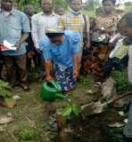 Journée de l'arbre en RD Congo le 5 décembre 2020